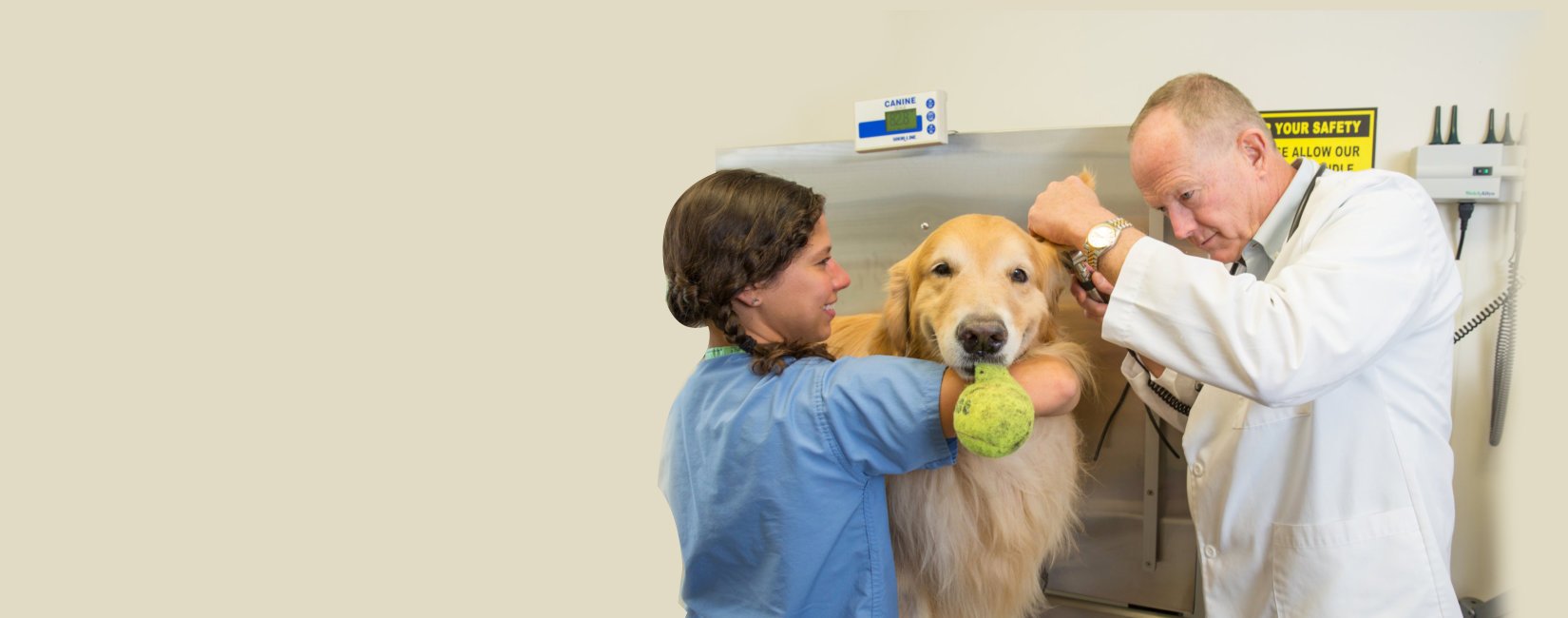 Home Newport Animal Hospital