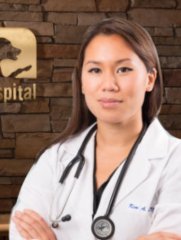 kim dr