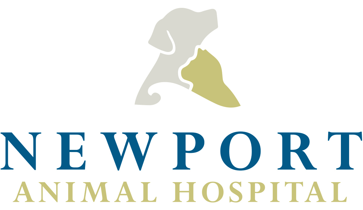 Newport Animal Hospital - Newport Animal Hospital