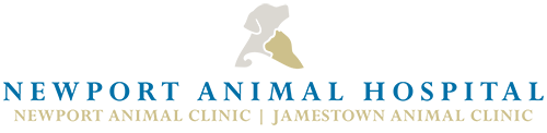 Jamestown Animal Clinic