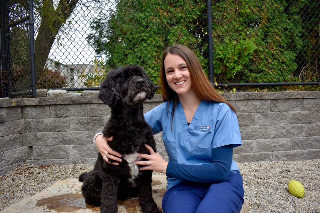 angela Newport Animal Hospital