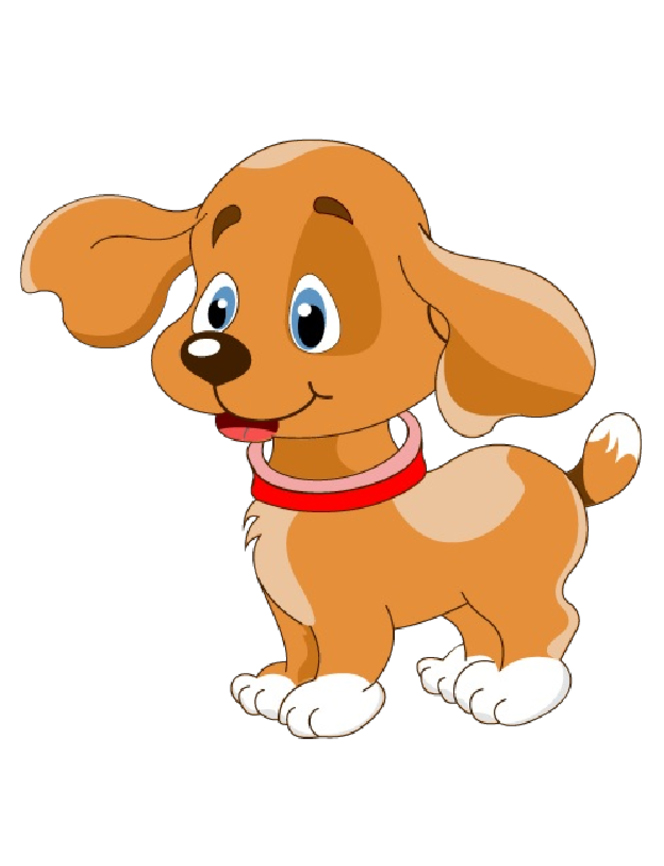 sarahg Newport Animal Hospital